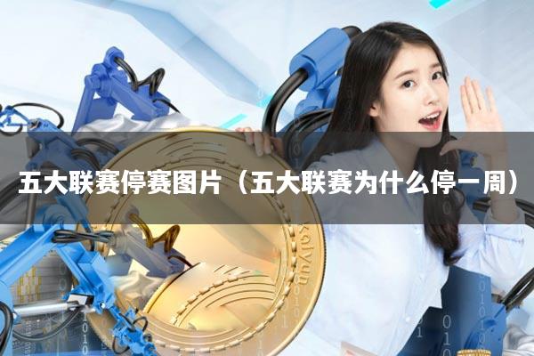 五大联赛停赛图片(五大联赛为什么停一周)